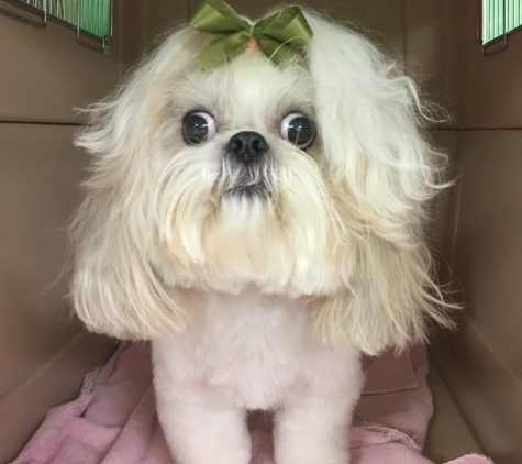 Dogma Grooming & Pet Gifts - Evans, GA