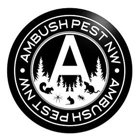 Ambush Pest NW