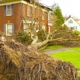 Cascade Tree Service