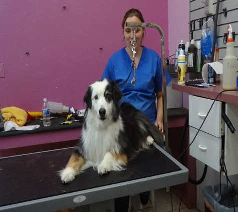 Groomingdales Pet Salon - Tucson, AZ