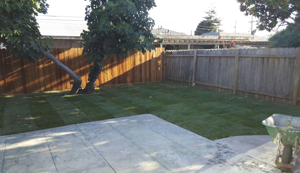 A&L Landscapes - Richmond, CA