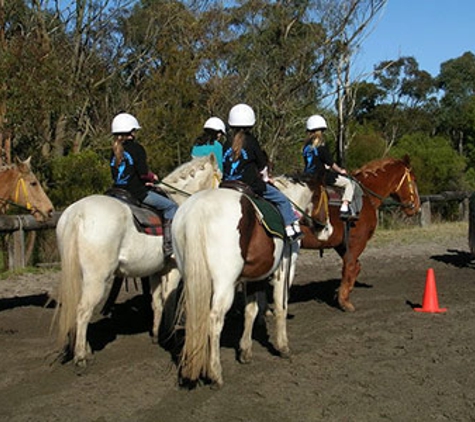 Darkes Forest Riding Ranch - Darkes Forest, NSW