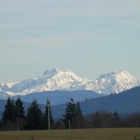 Mountain Veiw Cabins