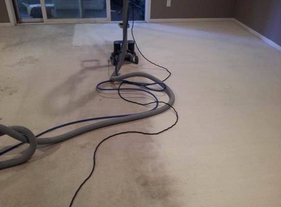 BW Carpet Cleaning