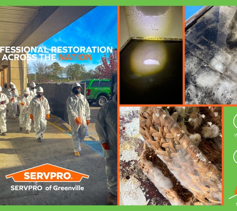 SERVPRO of Greenville - Greenville, NC