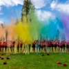 Chameleon Colors gallery