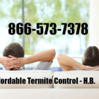 Affordable Termite Control In Huntington Beach