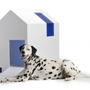 Ultra Modern Pet - Pet Stores