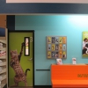 Banfield Pet Hospital gallery