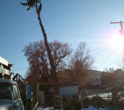 Montana Tree Care - Billings, MT