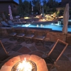 The Joshua Tree & Landscape Company gallery