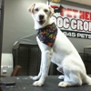 Pet Heroes Dog Grooming gallery