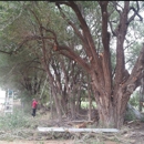 Arborcare tree and landscaping - Retaining Walls