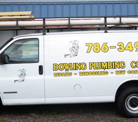 Dowling Plumbing Co Inc - Jacksonville, FL