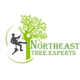 Northeast Tree Experts