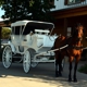 Little Cowboy Carriage Service