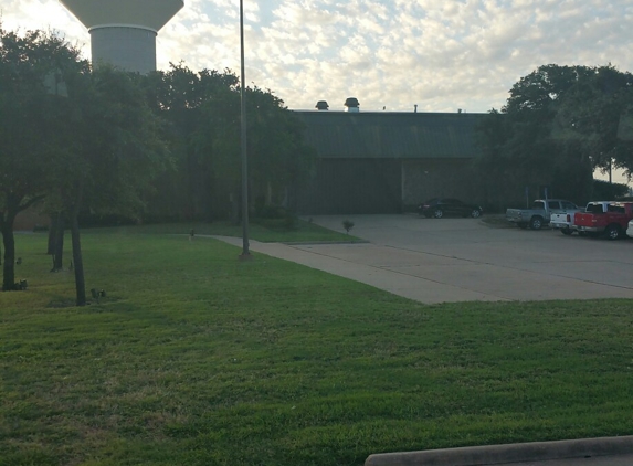 Wichita Beer - Wichita Falls, TX. Wichita Beer, parked in the driveway