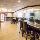 Comfort Suites Stafford Near Sugarland - Motels