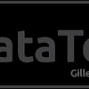 DataTech gallery