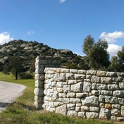Gallery Image Number 2