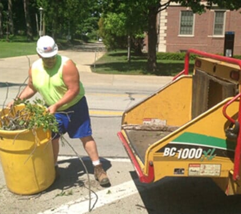 Lumber Jack Tree Service - Bondville, IL