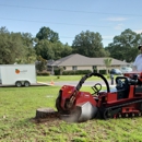 Citrus Stump Removal - Stump Removal & Grinding