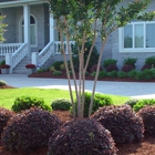 Holland Mulch