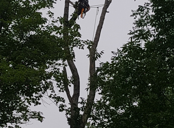 Oakes Tree Service & Rubish Removal