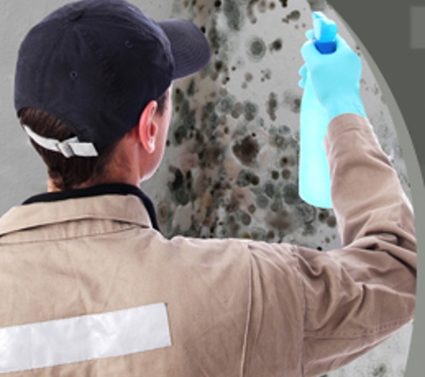 Advanced Mold Professionals