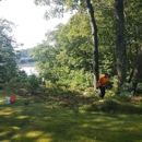 Weavs Landscaping - Tree Service