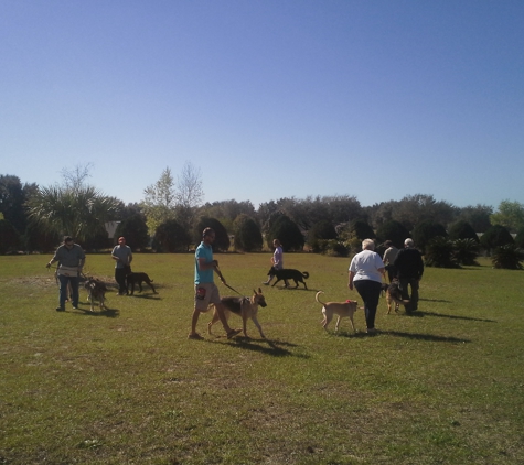 Orlando Dog Training - K9 Counselor - DeLand, FL. Central Fl Group Class