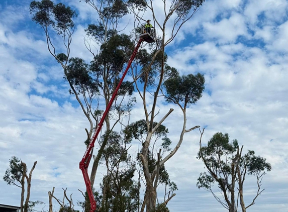 Rob Jamieson Tree & Stump Removal - Colac East, VIC