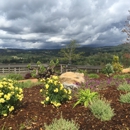 Skinner Vineyards - Wineries