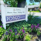 Pongo Clothing Boutique And Gifts