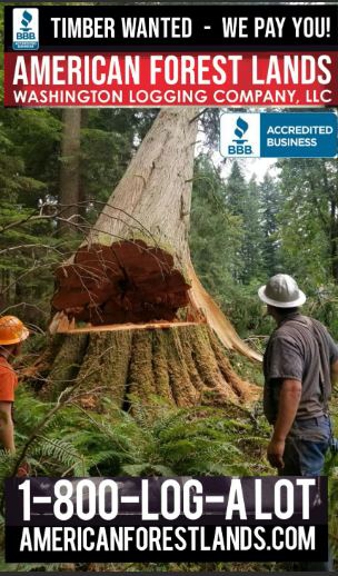 American Forest Lands Washington Logging Company
