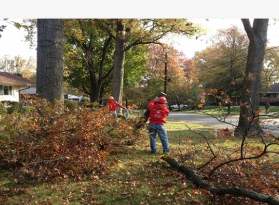 Garcia's Tree Experts