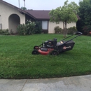Francisco Toc Landscaping - Landscaping & Lawn Services