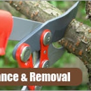 Rich Ley & Company Tree Service - Stump Removal & Grinding