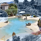 New Vision Pools