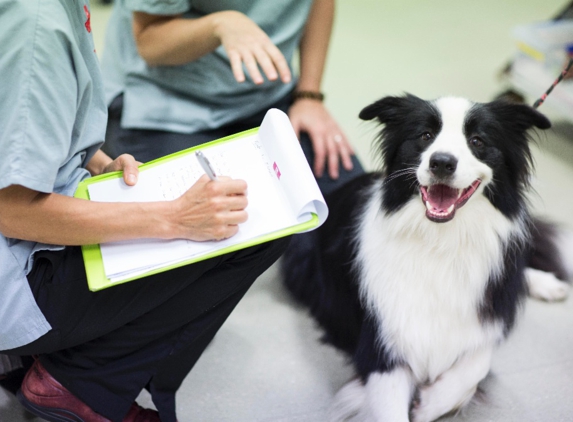 Brisbane Veterinary Emergency and Critical Care Service - Albany Creek, QLD. Around the clock care