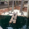 Congo River Golf gallery