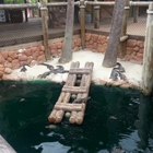 Congo River Golf & Exploration