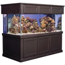 Natures Best Fish - Aquariums & Aquarium Supplies