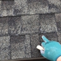 LoveOurRoof, an Xcel Company