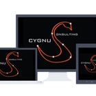 Cygnus Consulting