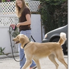 Bark Busters in Home Dog Training