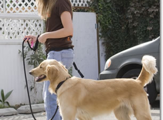 Bark Busters in Home Dog Training - Gambrills, MD