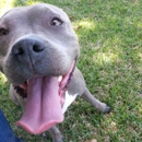 SPCA of Brazoria County - Animal Shelters