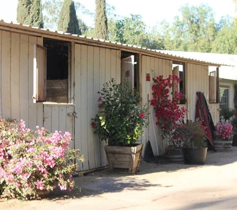 Rancho Linda Mio Horse Boarding & Training Facility - Simi Valley, CA