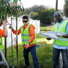 Flintridge Tree Care